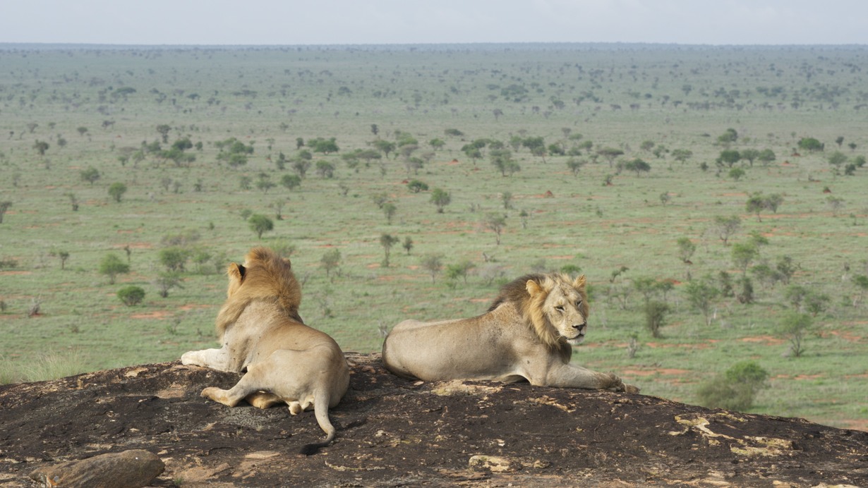 partir autrement à la rencontre du monde